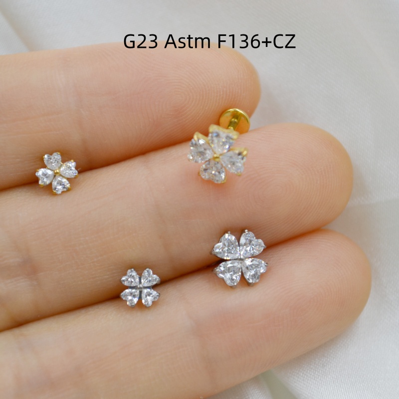 Body Jewelry Store - AMIGATINA Wholesale Store 10pcs G23 Titanium