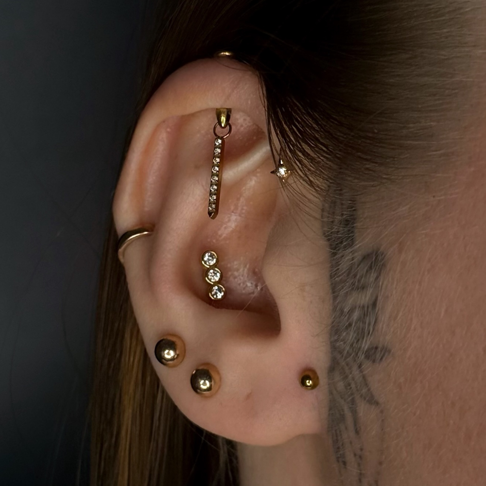 1PC G23 Titanium Hidden Vertic - огляд і ціна Body Jewelry Vertical Labret